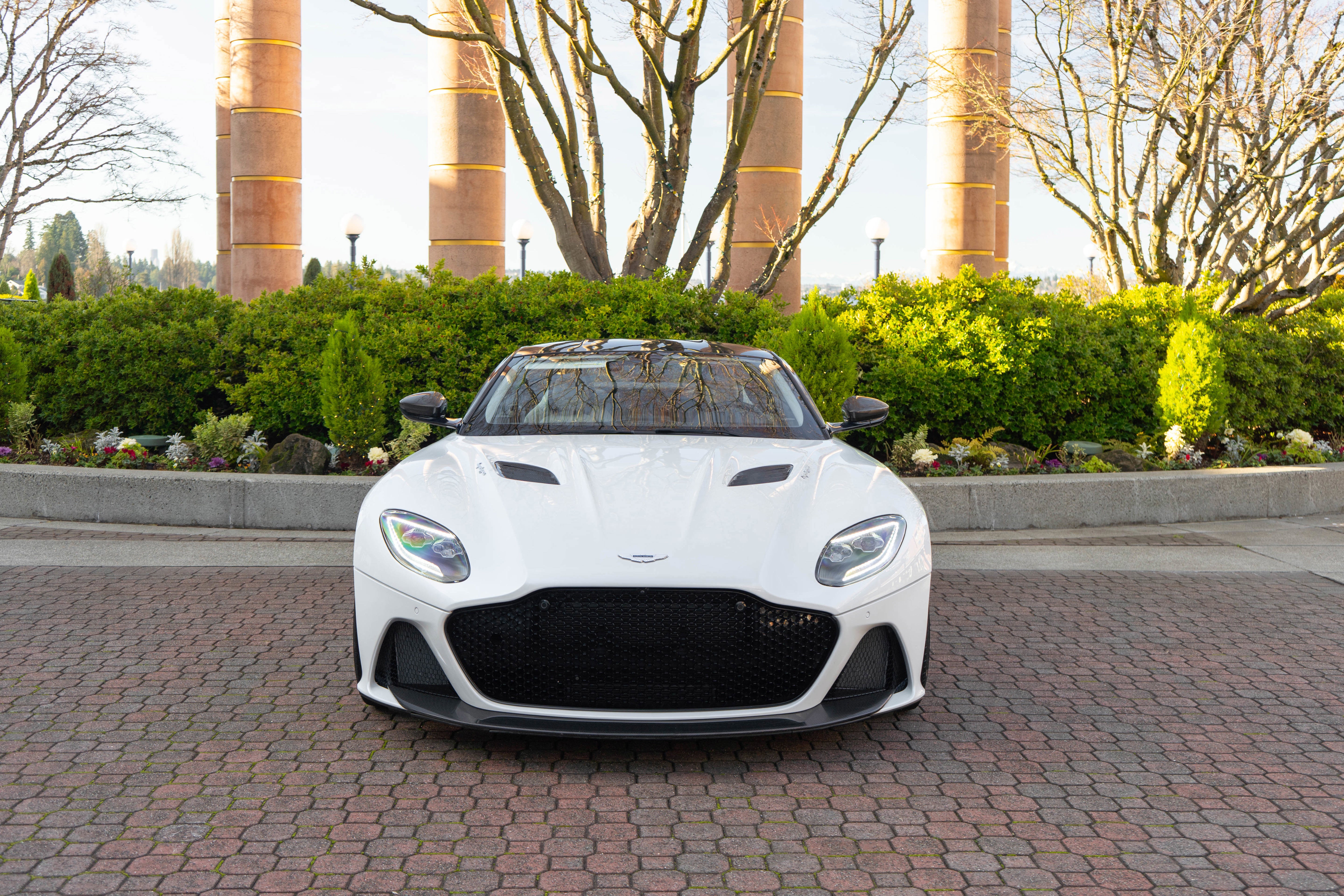 2019 Aston Martin DBS Superleggera