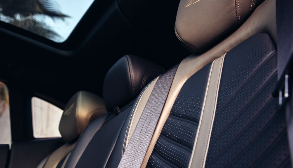 Aston Martin of Bellevue Leather Seats